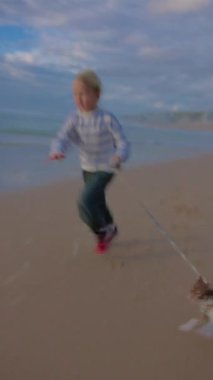 Bulutlu bir gökyüzünün altında Chihuahua 'sıyla kumsalda koşan neşeli bir kızın dikey videosu.