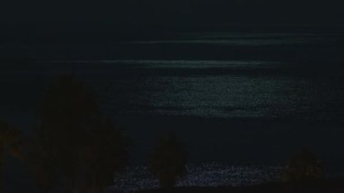 Avuçlar siluette, karanlık bir denizin çerçevesinde ay ışığı yansımaları var.