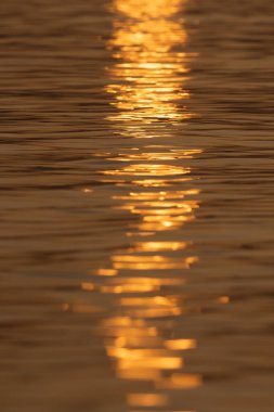Sakin suda altın bir günbatımının yansıması yumuşak dalgalarla parıldayan bir etki yaratır.