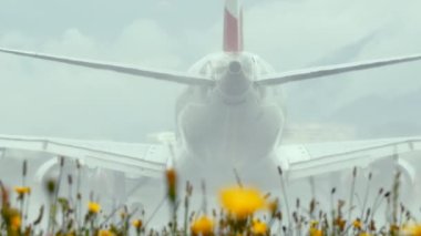 Ağır çekimde, ön planda çayır çiçekleri olan bir uçağın Avusturya Alpleri 'nin arka planına göre havalanması.