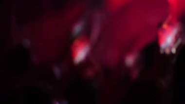 Canlı bir konserde seyirciler, elleri havada ve akıllı telefonlar performansı kaydediyor, enerjik ve sarsıcı bir atmosfer yaratıyor.