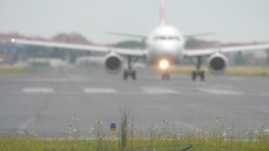 Ticari uçak pistte bulanıklaştı ve ön plandaki çim ve çiçeklere net bir şekilde odaklandı