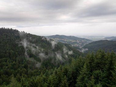 Almanya 'nın Buhl yakınlarındaki kara ormanın tepelerini kaplayan çam ağaçlarının arasından alçak bulutlar ve sis yükseliyor.