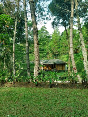 Ağaçların ortasında konaklama, doğal bir tema.