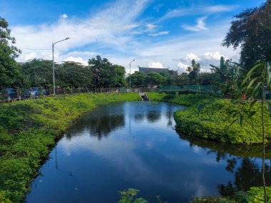 Açık mavi gökyüzünün altında küçük bir göl manzarası