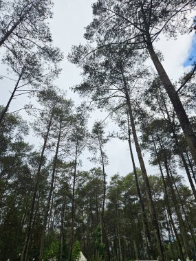 Beyaz Araba Şehir Caddesine Ön Manzaralı Park Edildi