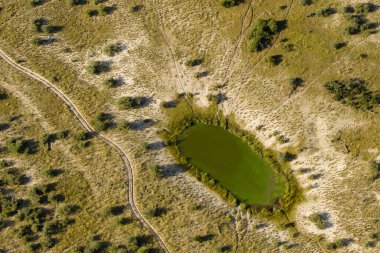 Delta Okavango 'nun Botswana' daki vahşi doğasına hava görüntüsü.