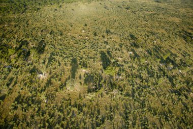 Delta Okavango 'nun Botswana' daki vahşi doğasına hava görüntüsü.