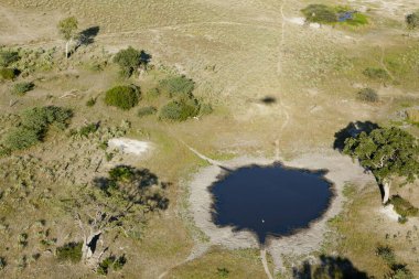 Delta Okavango 'nun Botswana' daki vahşi doğasına hava görüntüsü.