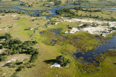 Delta Okavango 'nun Botswana' daki vahşi doğasına hava görüntüsü.