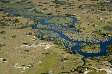 Delta Okavango 'nun Botswana' daki vahşi doğasına hava görüntüsü.