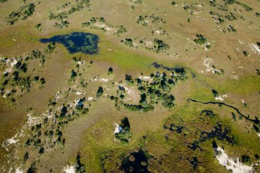 Delta Okavango 'nun Botswana' daki vahşi doğasına hava görüntüsü.