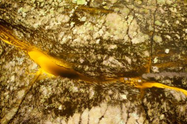 Delta Okavango 'nun Botswana' daki vahşi doğasına hava görüntüsü.