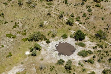 Delta Okavango 'nun Botswana' daki vahşi doğasına hava görüntüsü.