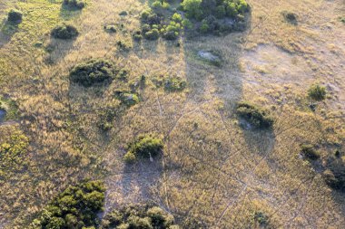 Delta Okavango 'nun Botswana' daki vahşi doğasına hava görüntüsü.