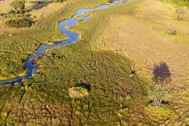 Delta Okavango 'nun Botswana' daki vahşi doğasına hava görüntüsü.