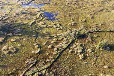 Delta Okavango 'nun Botswana' daki vahşi doğasına hava görüntüsü.