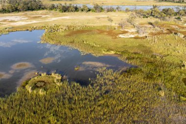 Delta Okavango 'nun Botswana' daki vahşi doğasına hava görüntüsü.