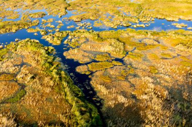 Delta Okavango 'nun Botswana' daki vahşi doğasına hava görüntüsü.