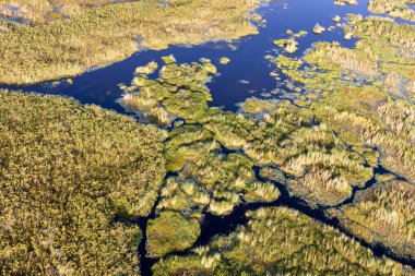 Delta Okavango 'nun Botswana' daki vahşi doğasına hava görüntüsü.