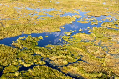 Delta Okavango 'nun Botswana' daki vahşi doğasına hava görüntüsü.