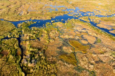 Delta Okavango 'nun Botswana' daki vahşi doğasına hava görüntüsü.