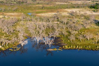 Delta Okavango 'nun Botswana' daki vahşi doğasına hava görüntüsü.