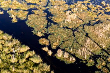 Delta Okavango 'nun Botswana' daki vahşi doğasına hava görüntüsü.