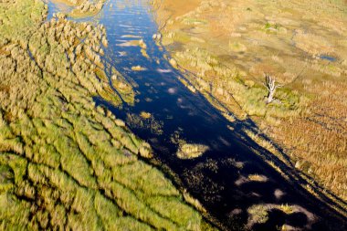 Delta Okavango 'nun Botswana' daki vahşi doğasına hava görüntüsü.