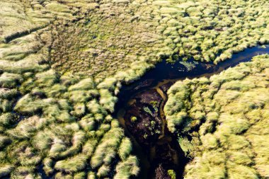Delta Okavango 'nun Botswana' daki vahşi doğasına hava görüntüsü.