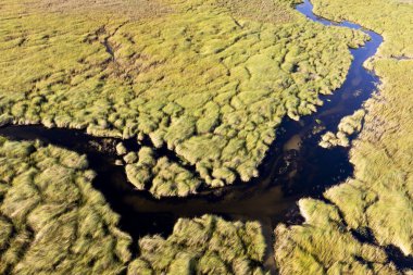 Delta Okavango 'nun Botswana' daki vahşi doğasına hava görüntüsü.