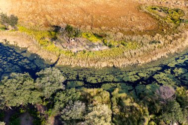 Delta Okavango 'nun Botswana' daki vahşi doğasına hava görüntüsü.
