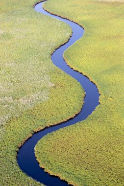 Delta Okavango 'nun Botswana' daki vahşi doğasına hava görüntüsü.
