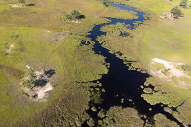 Delta Okavango 'nun Botswana' daki vahşi doğasına hava görüntüsü.