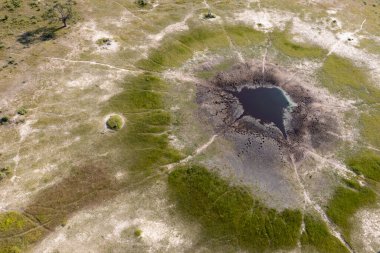 Delta Okavango 'nun Botswana' daki vahşi doğasına hava görüntüsü.