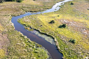 Delta Okavango 'nun Botswana' daki vahşi doğasına hava görüntüsü.