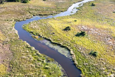Aerial view to wild nature of Delta Okavango in Botswana. clipart