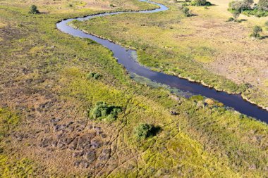 Delta Okavango 'nun Botswana' daki vahşi doğasına hava görüntüsü.