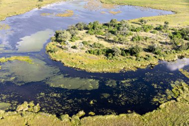 Delta Okavango 'nun Botswana' daki vahşi doğasına hava görüntüsü.