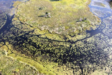 Delta Okavango 'nun Botswana' daki vahşi doğasına hava görüntüsü.