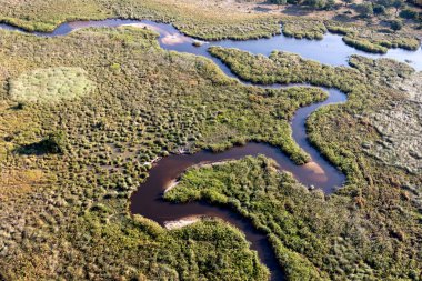 Delta Okavango 'nun Botswana' daki vahşi doğasına hava görüntüsü.