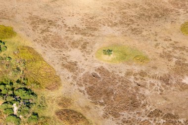 Delta Okavango 'nun Botswana' daki vahşi doğasına hava görüntüsü.