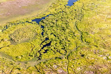 Delta Okavango 'nun Botswana' daki vahşi doğasına hava görüntüsü.