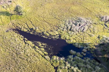 Delta Okavango 'nun Botswana' daki vahşi doğasına hava görüntüsü.
