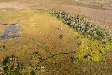 Delta Okavango 'nun Botswana' daki vahşi doğasına hava görüntüsü.