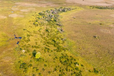 Delta Okavango 'nun Botswana' daki vahşi doğasına hava görüntüsü.