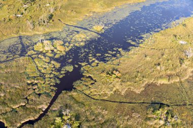 Delta Okavango 'nun Botswana' daki vahşi doğasına hava görüntüsü.