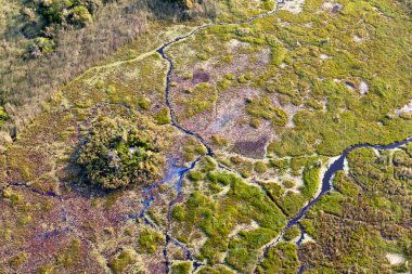 Delta Okavango 'nun Botswana' daki vahşi doğasına hava görüntüsü.