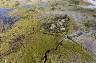 Delta Okavango 'nun Botswana' daki vahşi doğasına hava görüntüsü.