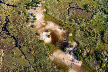 Delta Okavango 'nun Botswana' daki vahşi doğasına hava görüntüsü.